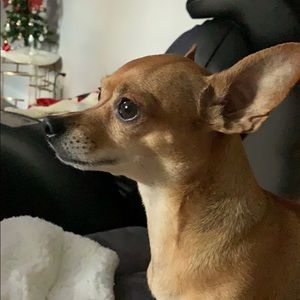 Meet your Posher, Adriana